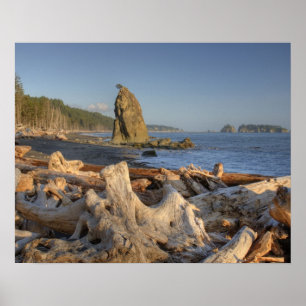 Póster EE. UU., Washington, Parque Nacional Olímpico, Ria