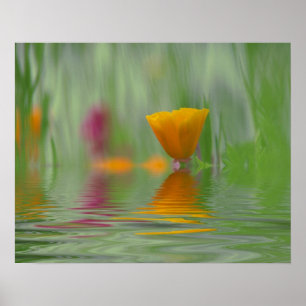 Póster EE.UU., Washington, resumen de cierre de Californi