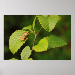 Póster EE.UU., Washington, Seattle, Parque Discovery