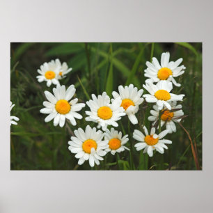 Póster EE.UU., Washington, Seattle, Puget Sound 3