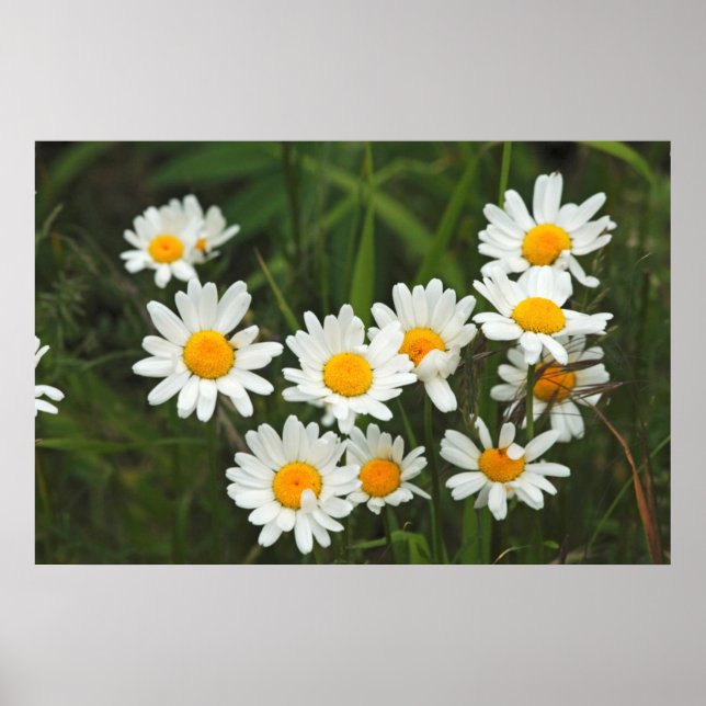 Póster EE.UU., Washington, Seattle, Puget Sound 3 (Frente)