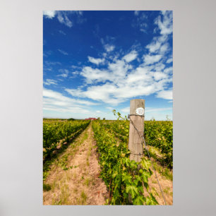 Póster EE. UU., Washington, Walla Walla. Cabernet Sauvign