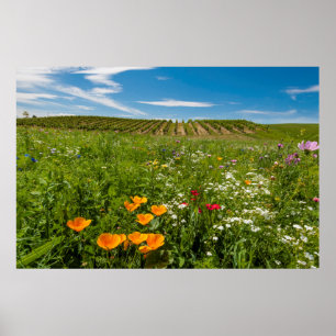 Póster EE. UU., Washington, Walla Walla. Flores silvestre