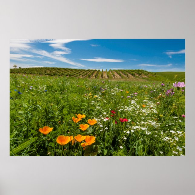 Póster EE. UU., Washington, Walla Walla. Flores silvestre (Frente)