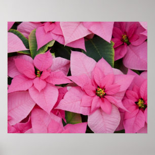 Póster EE.UU., Washington, Woodinville, la guardería de 