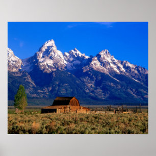 Póster EE. UU., Wyoming, Parque Nacional Grand Teton, Mañ