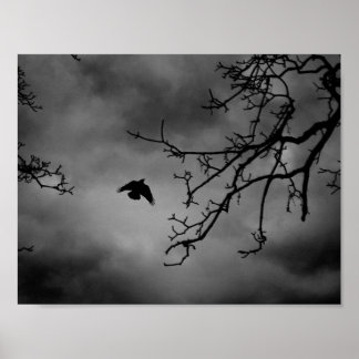 Póster Eerie Bird in Flight