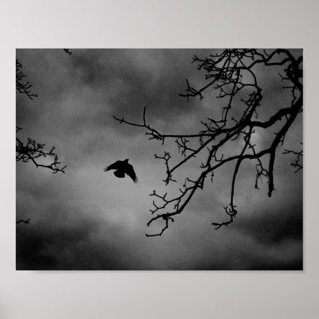 Póster Eerie Bird in Flight (Frente)