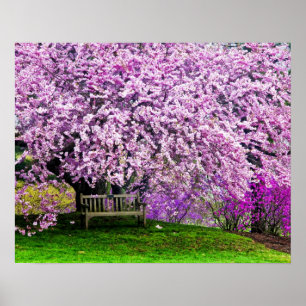 Póster EEUU, Delaware, Wilmington. Banco de madera bajo