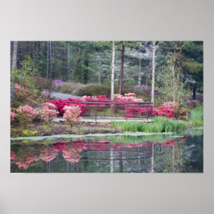 Póster EEUU, Georgia, Montaña Pina. Ver área por