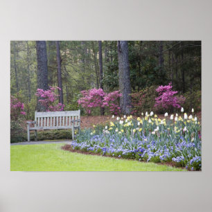 Póster EEUU, Georgia, Montaña Pine. Un borde de