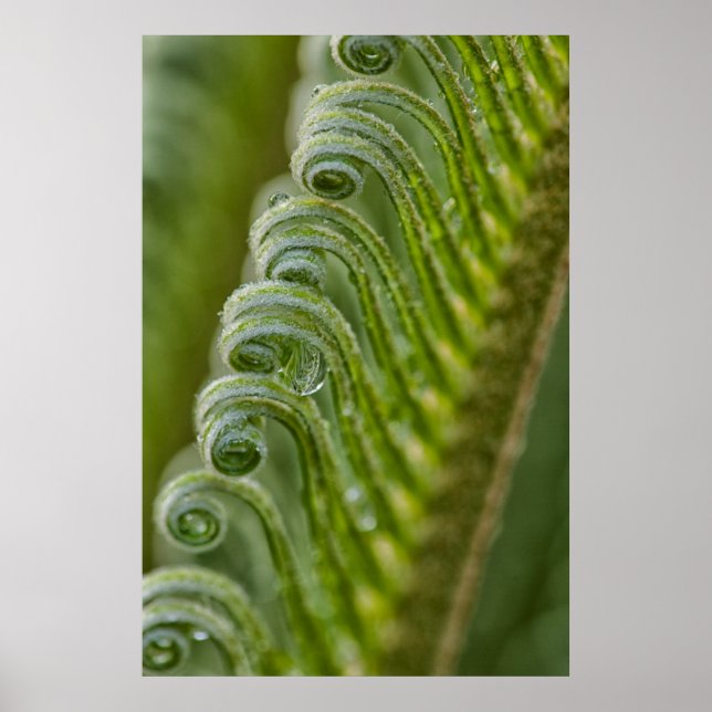 Póster EEUU, Georgia, Savannah, Cierre De Nuevos Frontera (Frente)