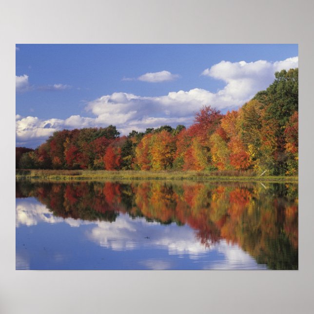 Póster EEUU, Massachusetts, Acton. Reflexión del otoño (Frente)