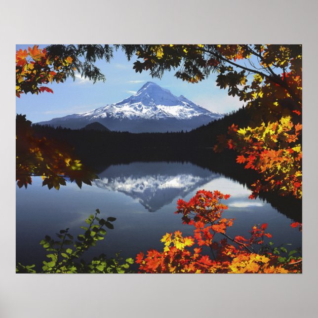 Póster EEUU, Oregón, Bosque Nacional Mt. Hood. (Frente)