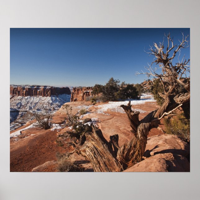 Póster EEUU, Utah, Moab. Parque nacional de los Cañones, (Frente)