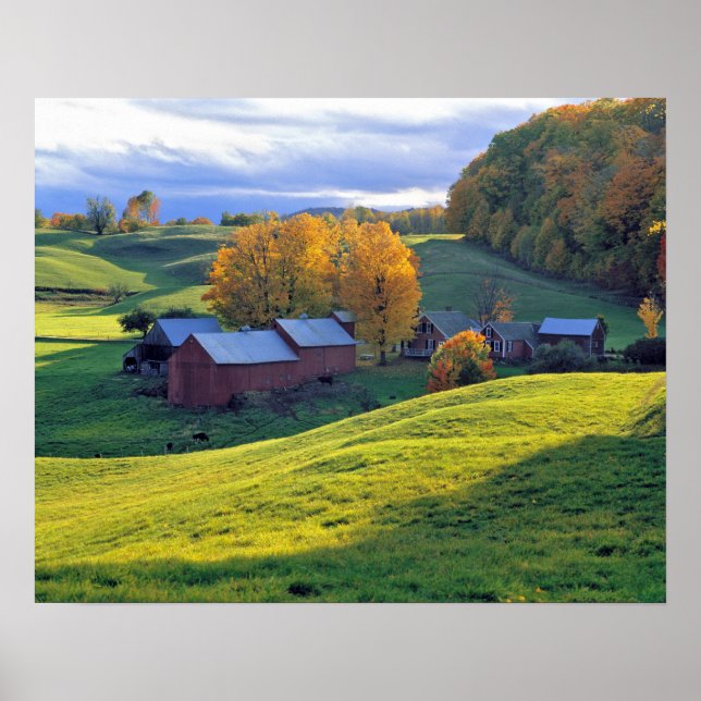 Póster EEUU, Vermont, Granja Jenne. Colinas verdes rodand (Frente)