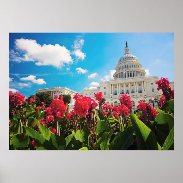 Póster EEUU, Washington DC, Edificio Capitol (Frente)