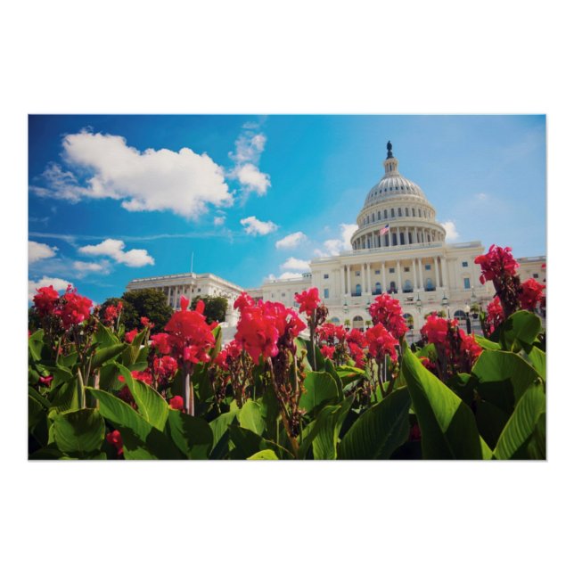 Póster EEUU, Washington DC, Edificio Capitol (Anverso)