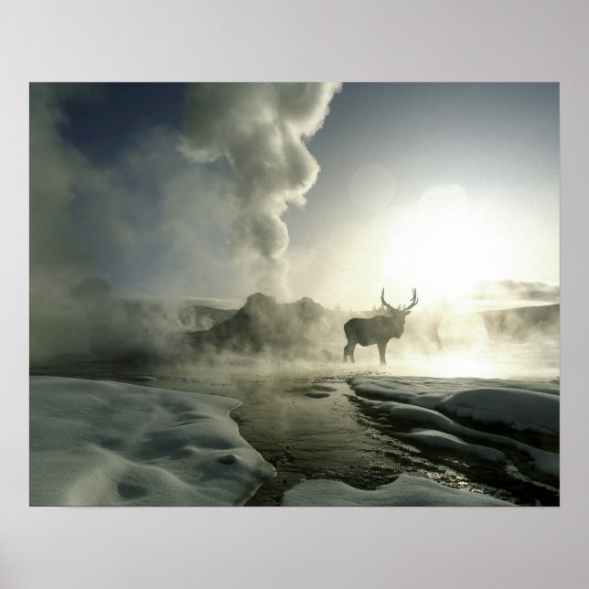 Póster EEUU, Wyoming, Parque Nacional Yellowstone. Sunris (Frente)