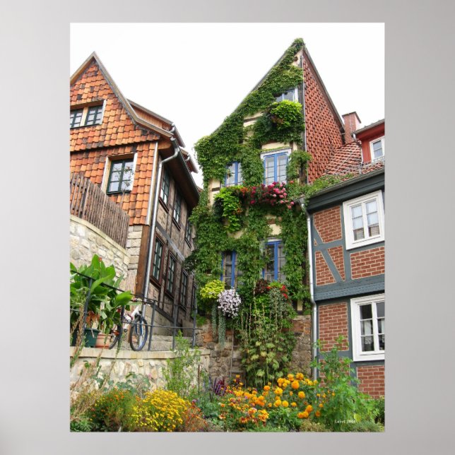 Póster efecto de la casa verde (Frente)