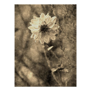 Póster Efecto de pintura de foto antigua de dalia vintage