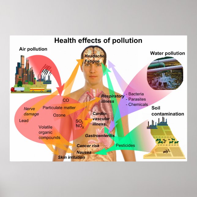 Póster Efectos de la contaminación en la salud del cuerpo (Frente)