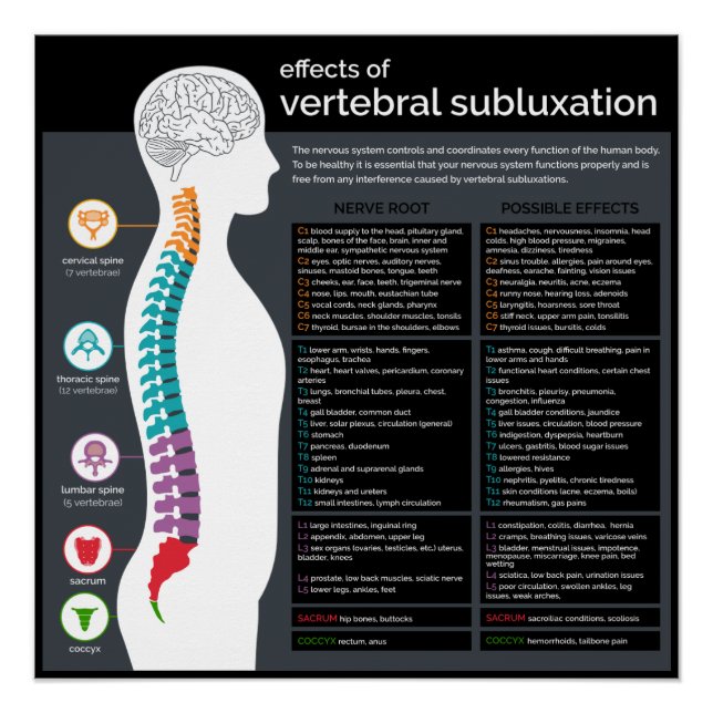 Póster Efectos de la subluxación vertebral Quiropráctica (Anverso)