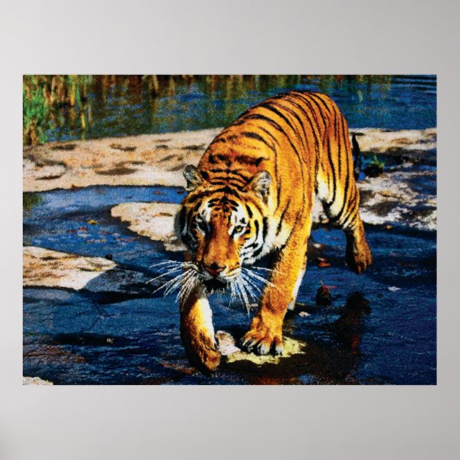 Póster Efectos individuales Animales 2 cmyk (Frente)