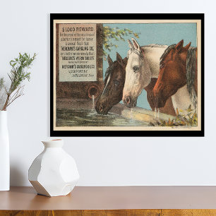 Póster Efímera Publicitaria de Caballos de Granja Bebiend
