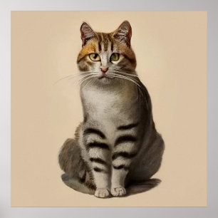 Póster Egeo - Retrato de gato