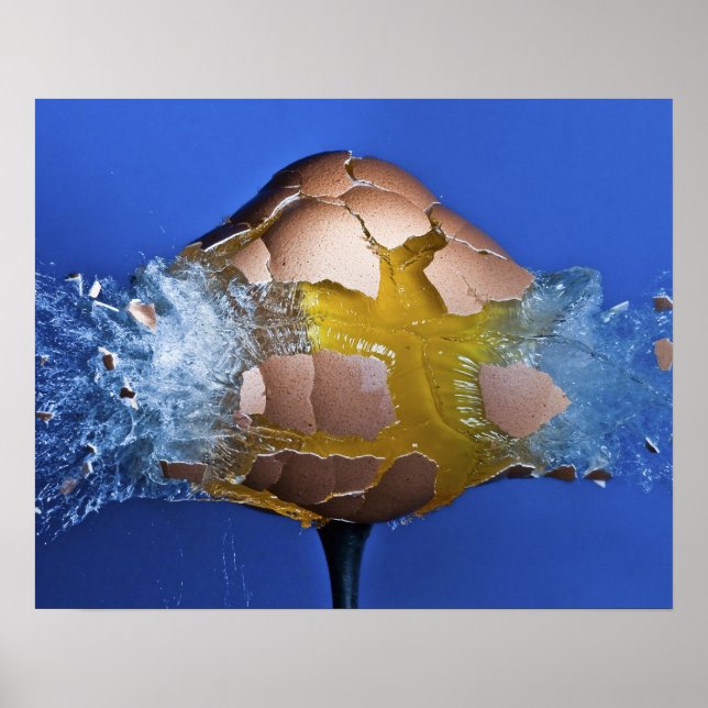 Póster Eggceptivo (Frente)