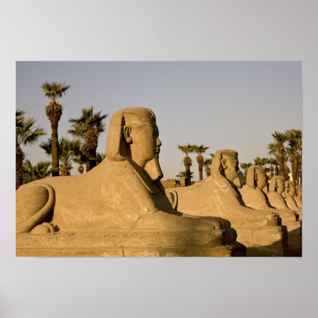 Póster Egipto, Luxor. La avenida de Esfinges lleva a (Frente)