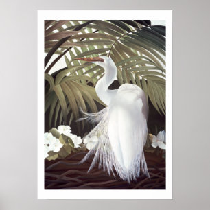 Póster Egret and Palms