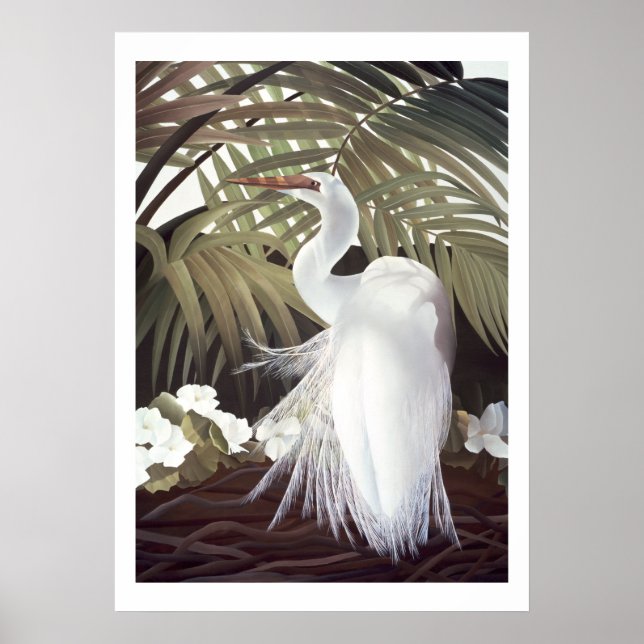 Póster Egret and Palms (Frente)