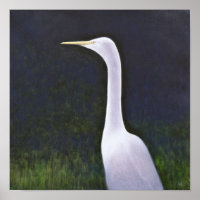 Egret blanco