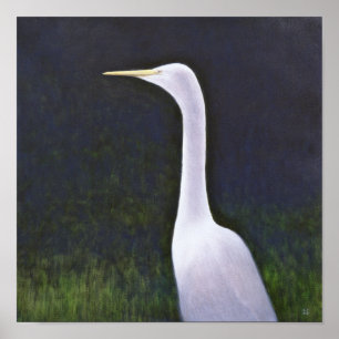 Póster Egret blanco