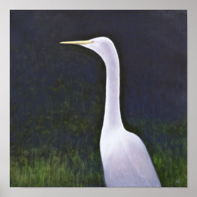 Póster Egret blanco (Frente)
