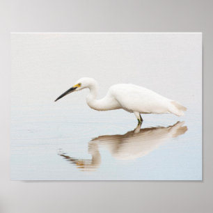 Póster Egret en el estanque