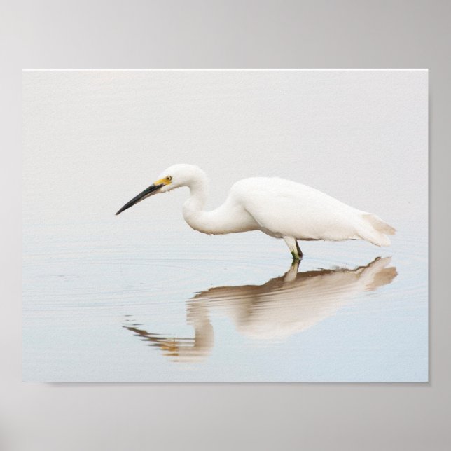 Póster Egret en el estanque (Frente)