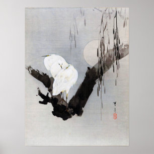 Póster Egrets in a Tree at Night, Watanabe Seitei