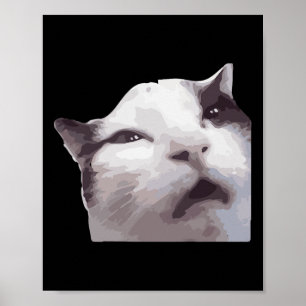 Póster ¡Eh! Meme de gato