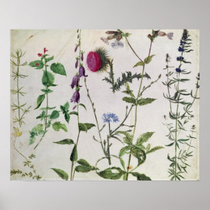 Póster Eight Studies of Wild Flowers