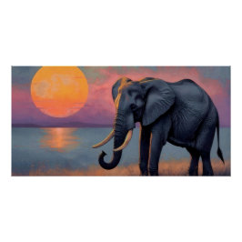 Póster Einsamer Elefant am majestätischen Sonnenuntergang