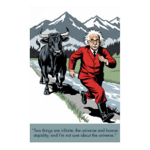 Einstein quote poster