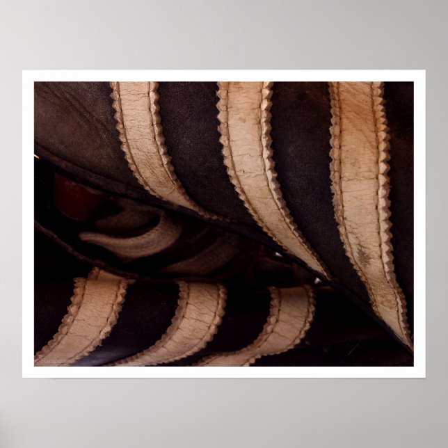 Póster ejecución de renuncia (Frente)