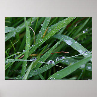 Póster Ejecutor de blade