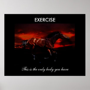 Póster Ejercicio