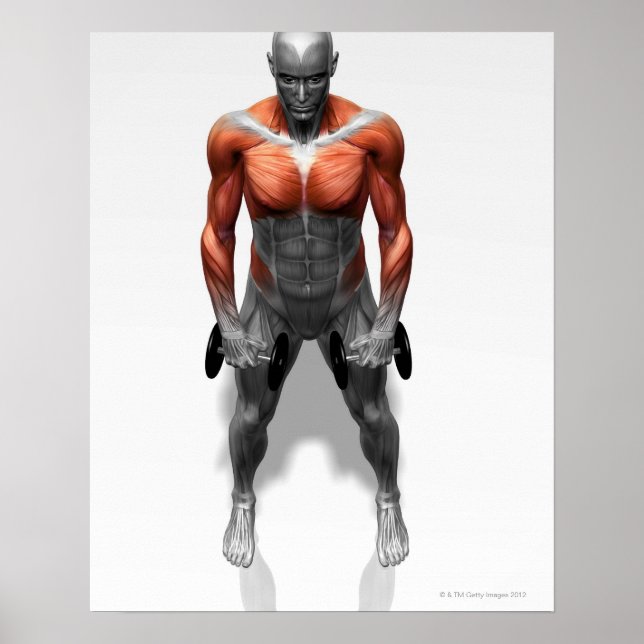 Póster Ejercicio de fila vertical (Frente)