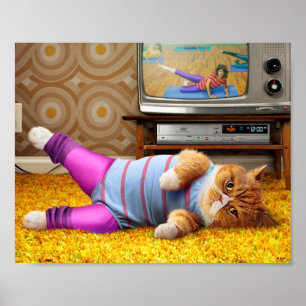 Póster Ejercicio del gato