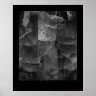 Póster Ejercicio en continuidad